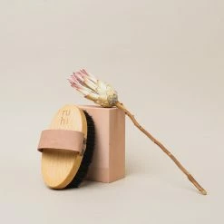 The Ionic Dry Brush Brosse Corps Ionique 12 The Ionic Dry Brush Brosse Corps Ionique -L:A Bruket Soldes 07 2021 Ruhi encart inspiration Ionic Brush4TINY. 20b7274c 135b 42ab b205 0409253a92a8