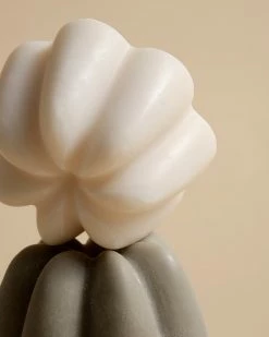 Le Shampoing Solide Detox -L:A Bruket Soldes 2023 03 OMC UMAI 2 POST 1389c4c3 4508 4edb 80dd 43ce731e2f5a