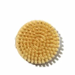 The Dry Brush Brosse Corps Classique
