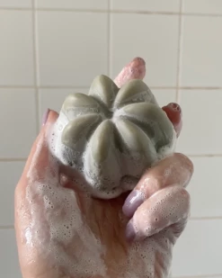 Le Shampoing Solide Detox -L:A Bruket Soldes Captured ecran2023 06 05a10.37.20